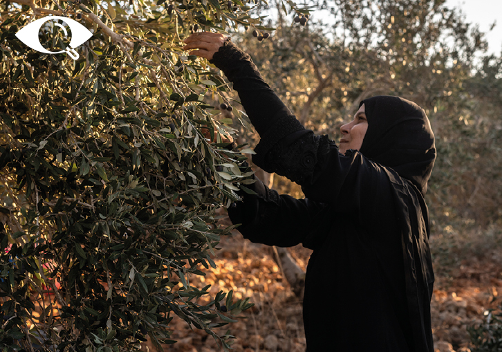 Imatge de l'exposició